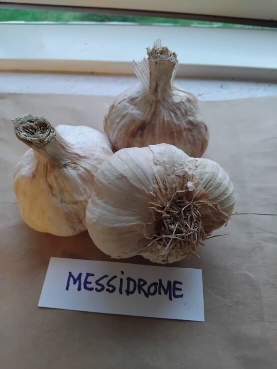 Messidrome