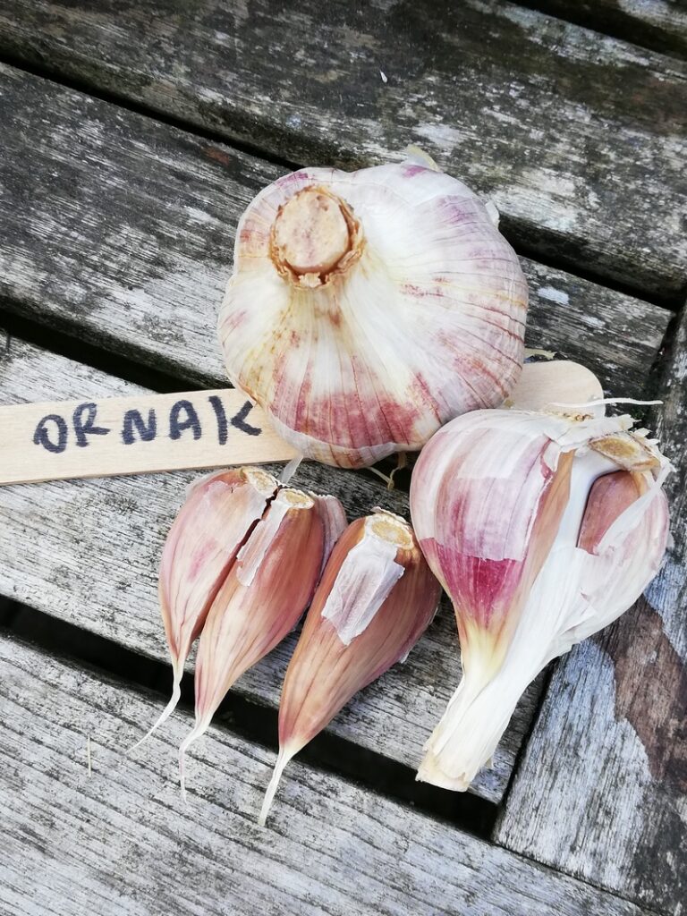 Ornak