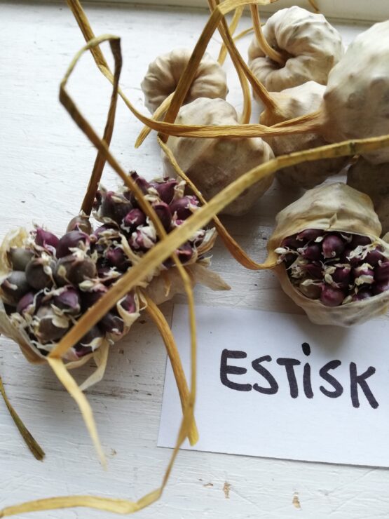 Estisk 4