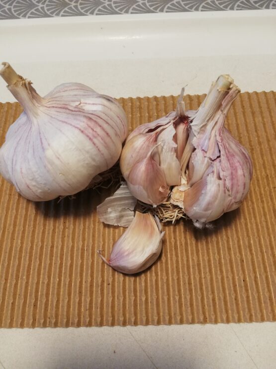 Garpek