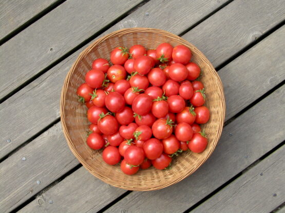 Gardeners delight