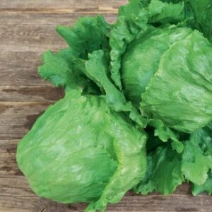 Iceberg salat "Saladin"