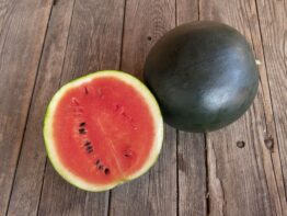 Melon Sugar Baby